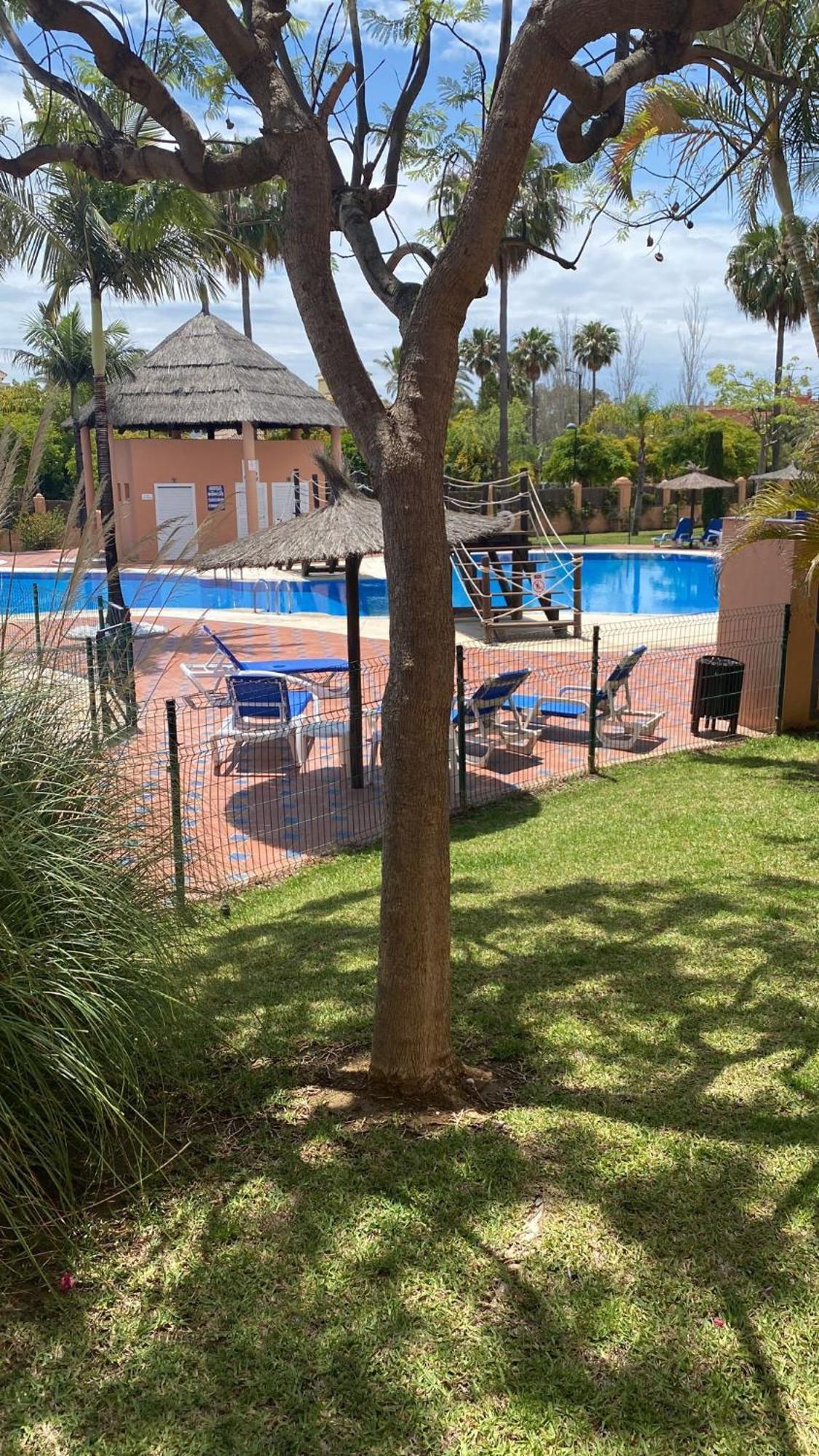 Stunning 3br In Hacienda Del Sol & Pool Apartamento *