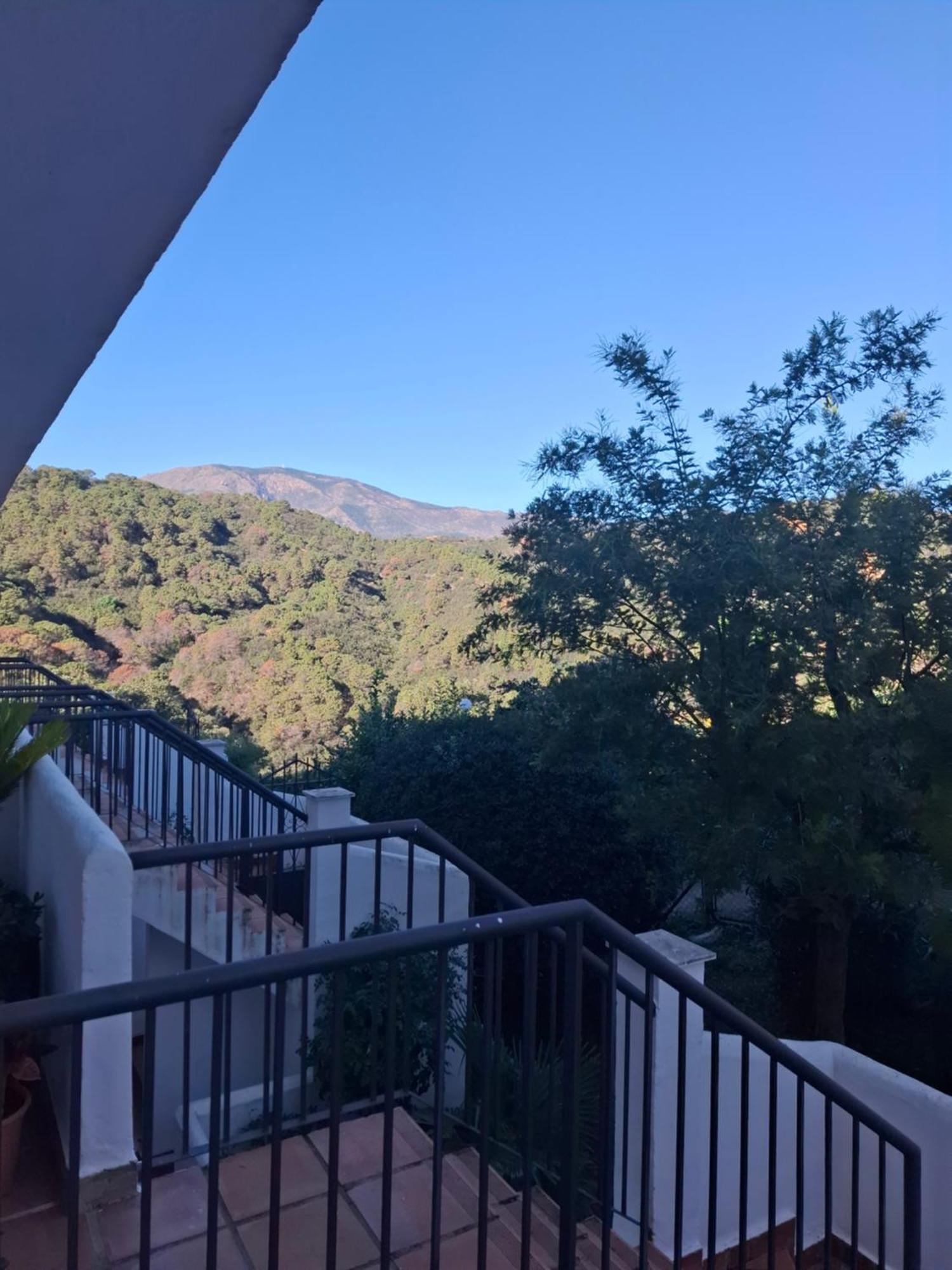 Vistas Panoramicas *