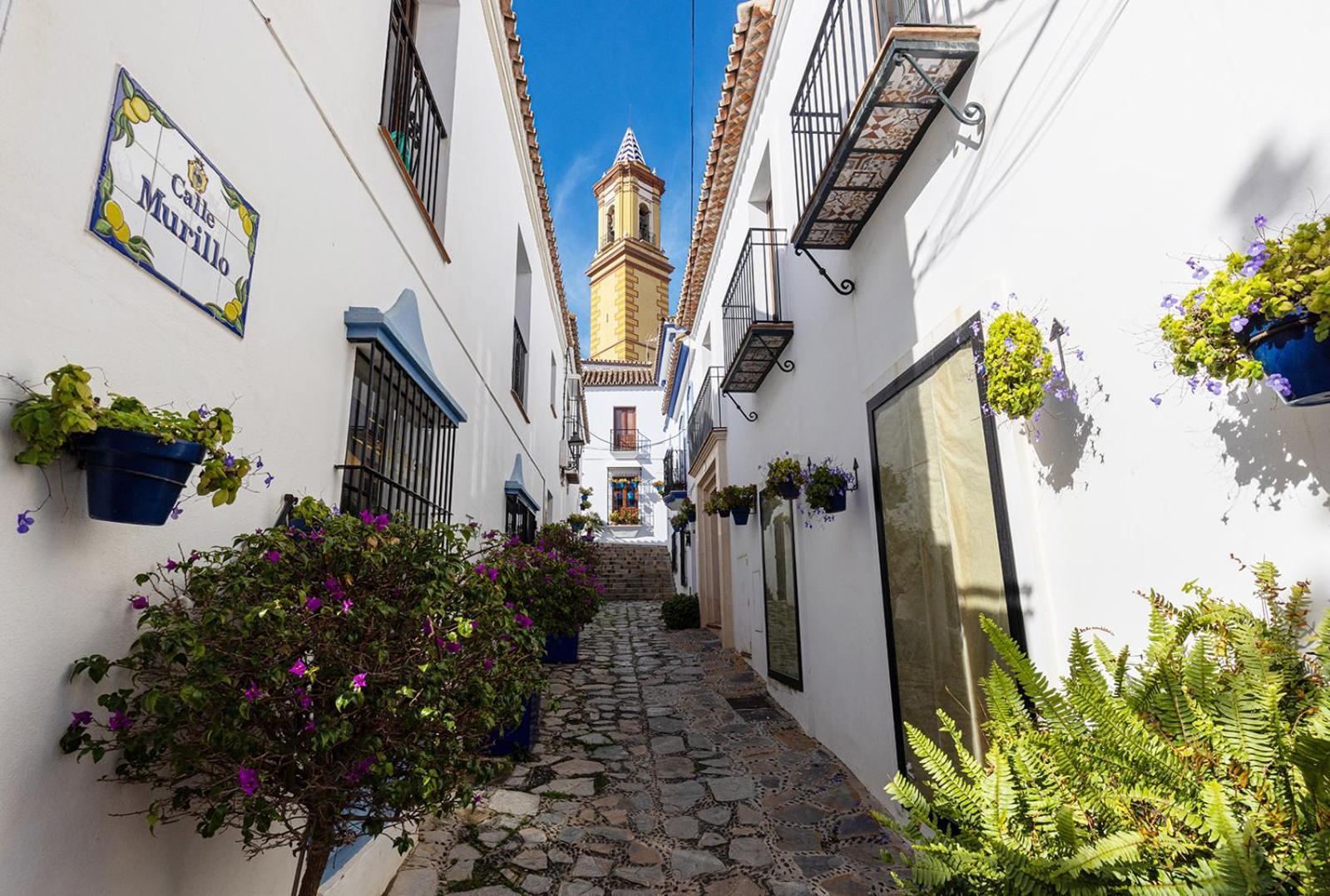 Old Town With A Sea View Os Apartment