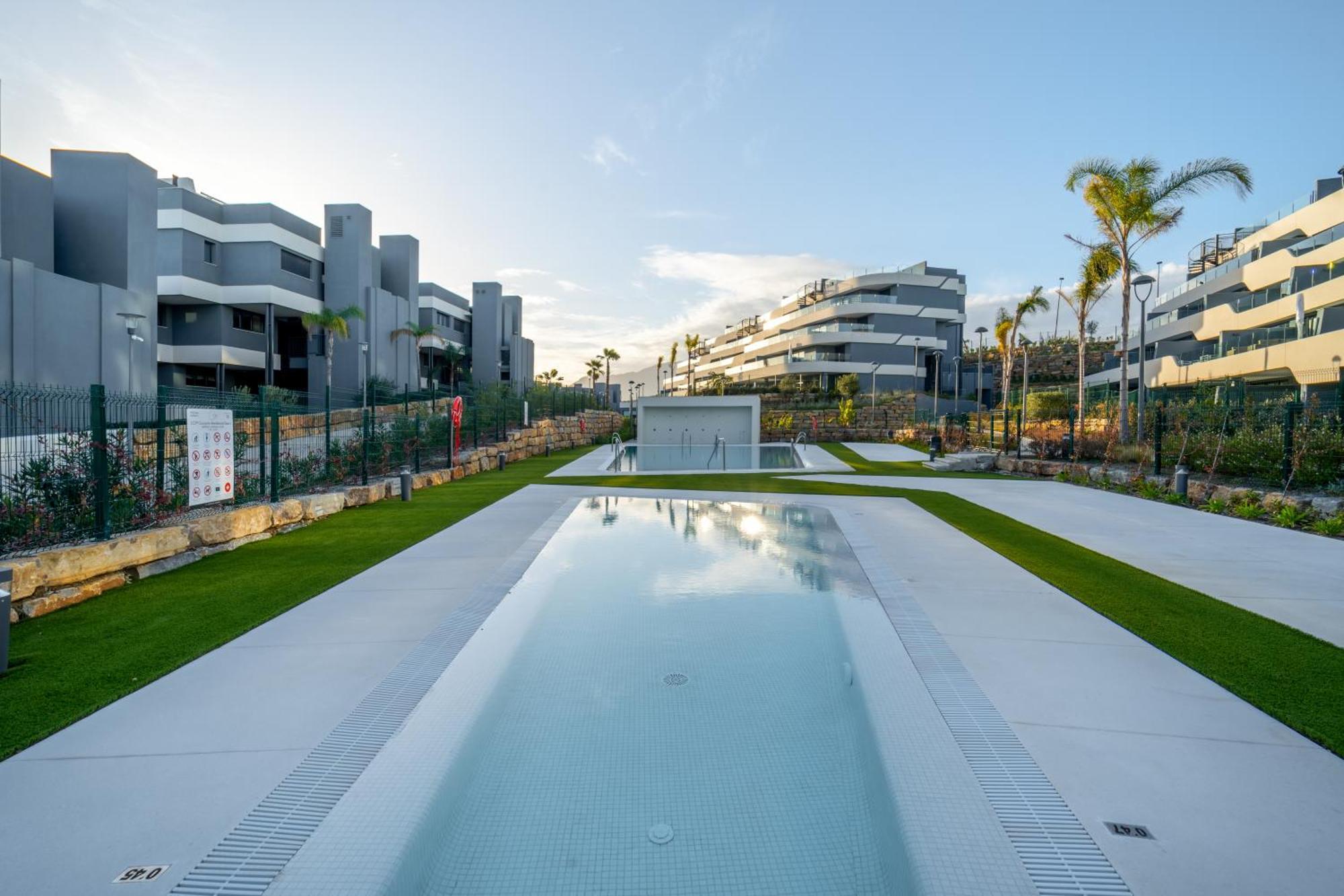 Modern Oasis Serene