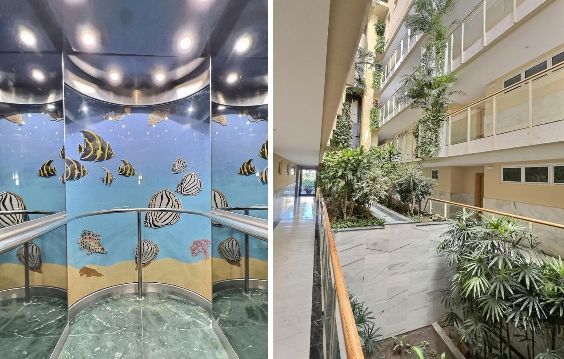 Front Line Paradise In Apartment *