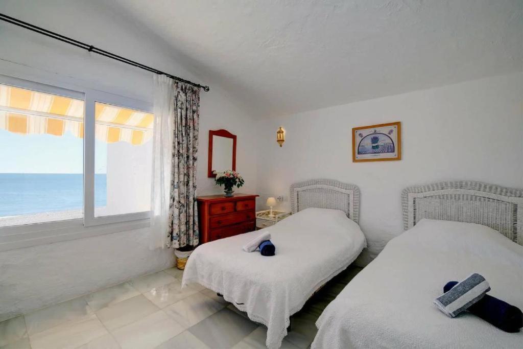 West Townhouse Seashells *