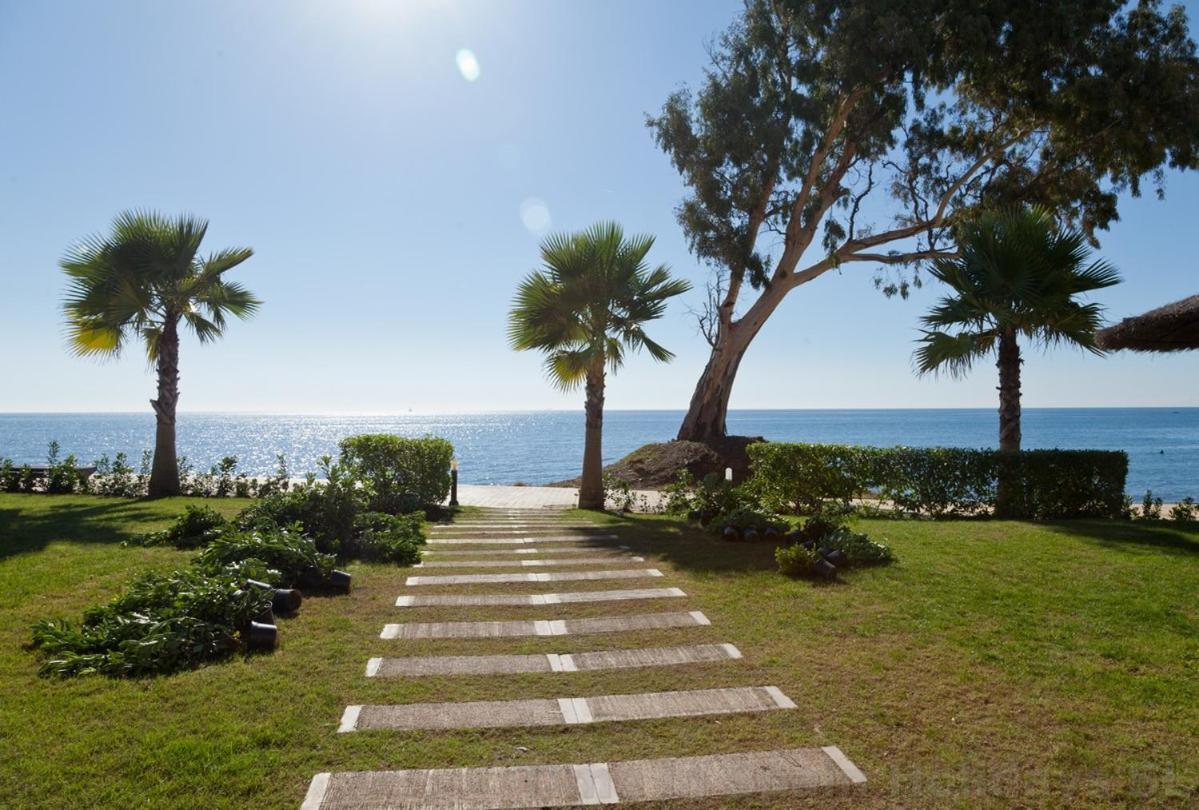 East Daisy Estepona