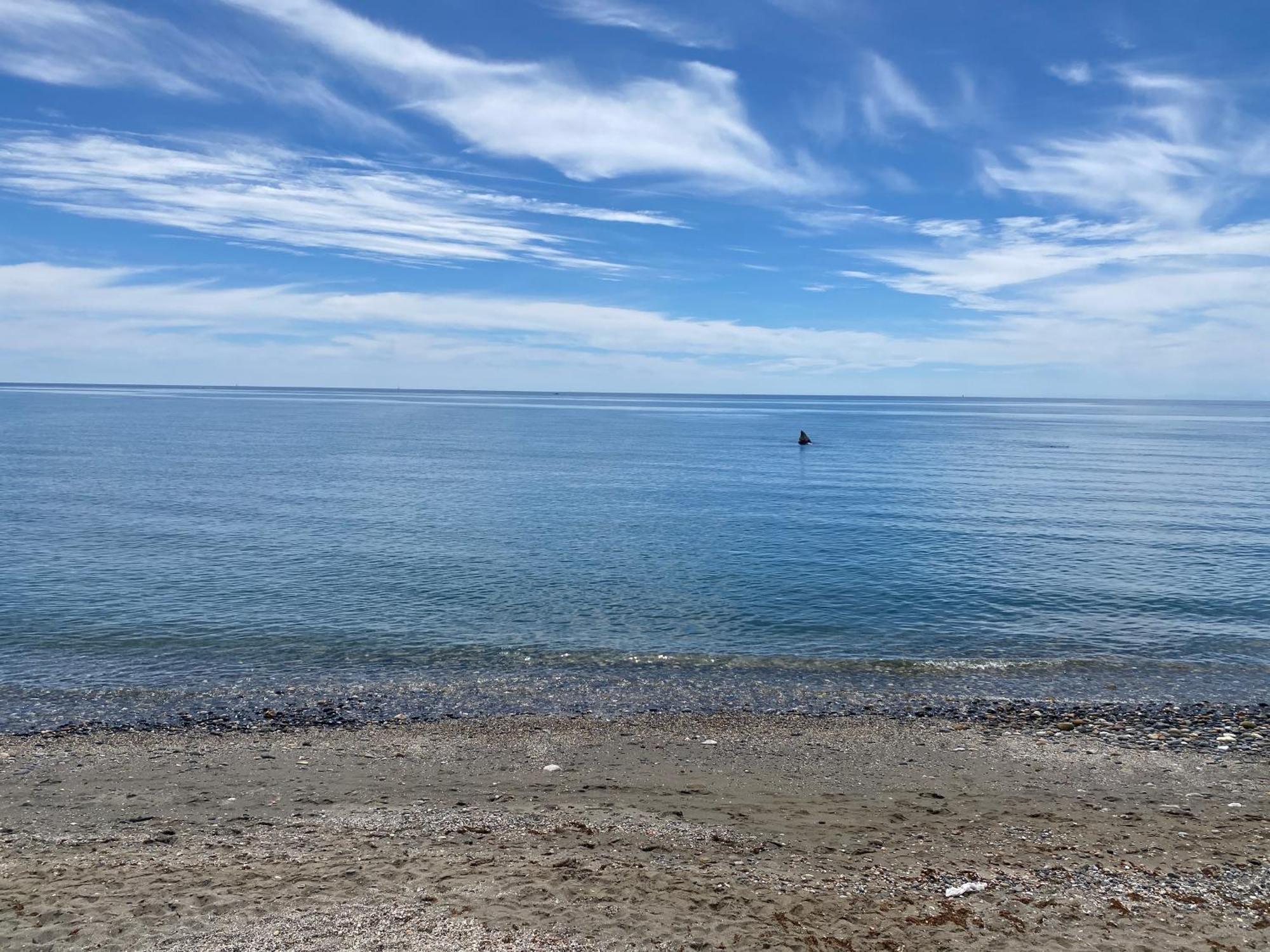 Bahia De