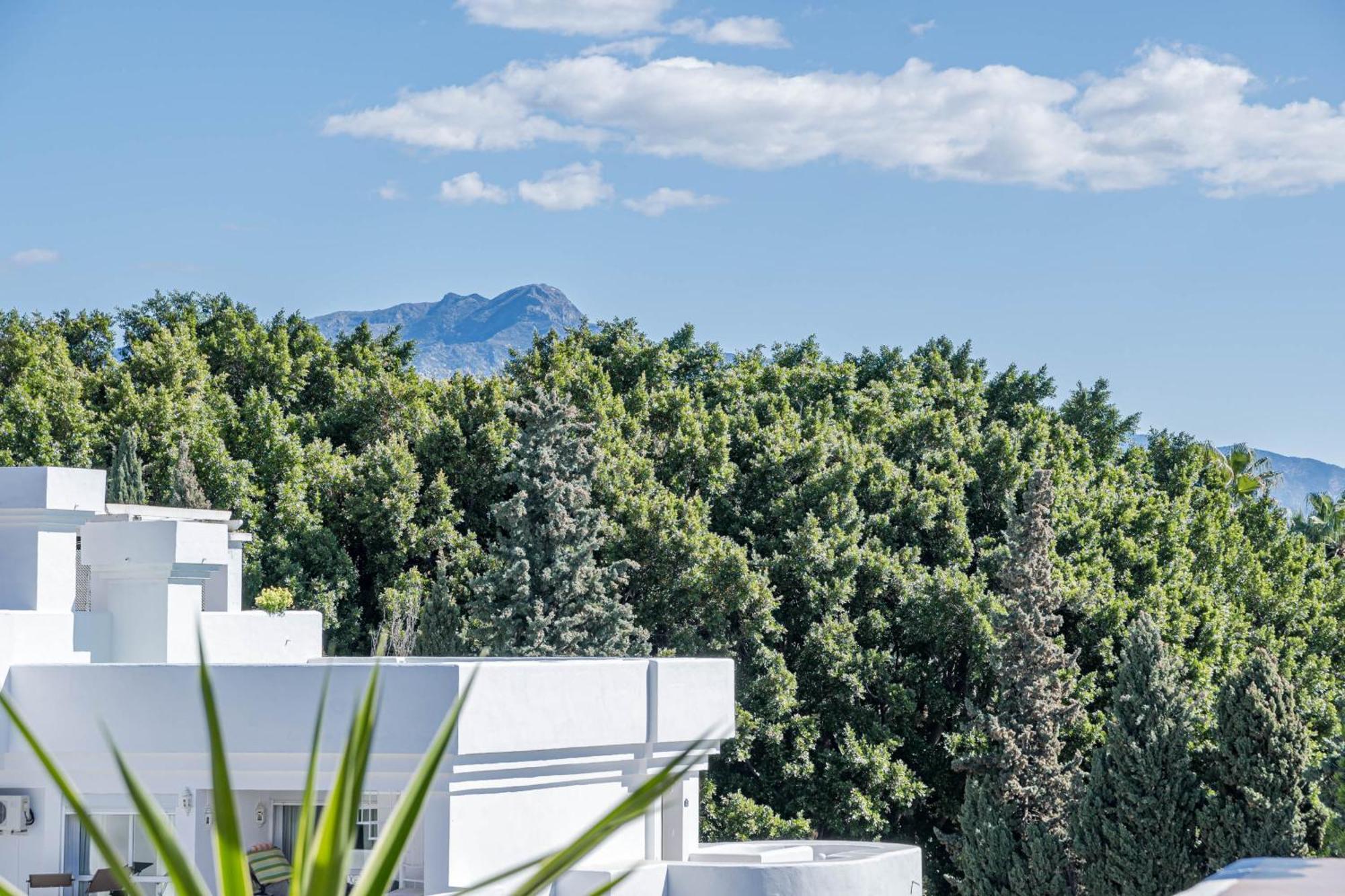 Sungardens Penthouse * Estepona