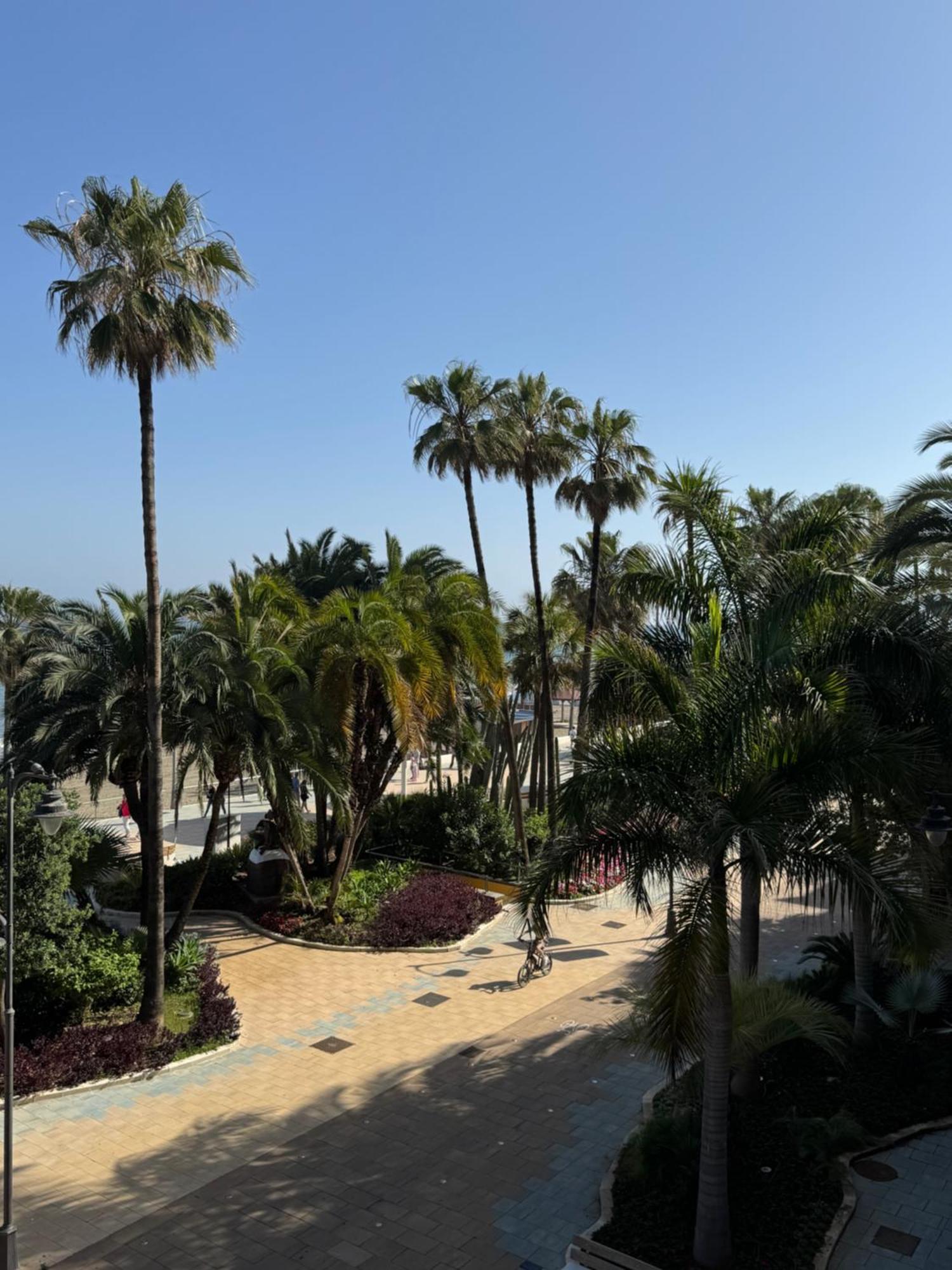Suiteline Estepona
