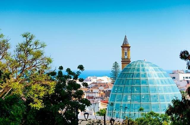 Alma Estepona