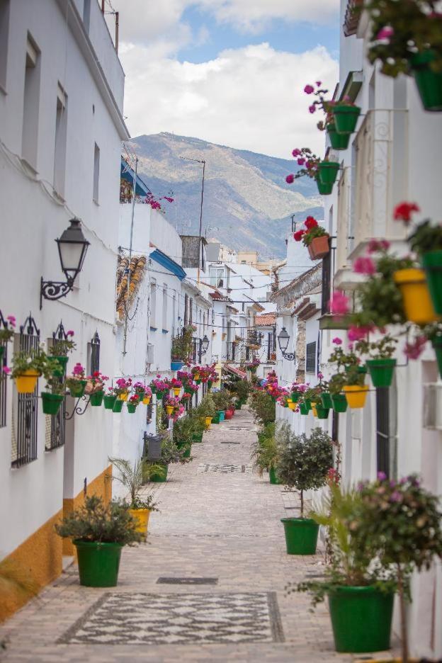 Alma Estepona