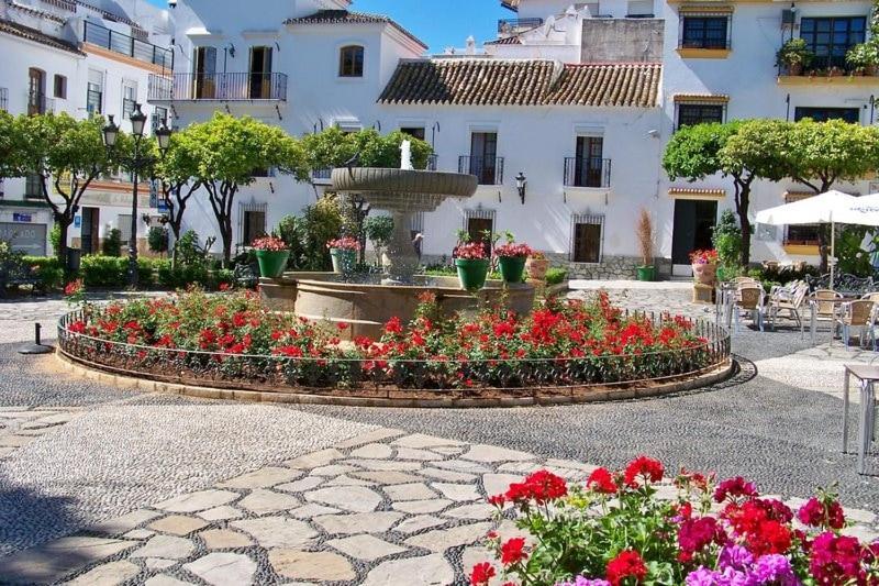 Alma Estepona