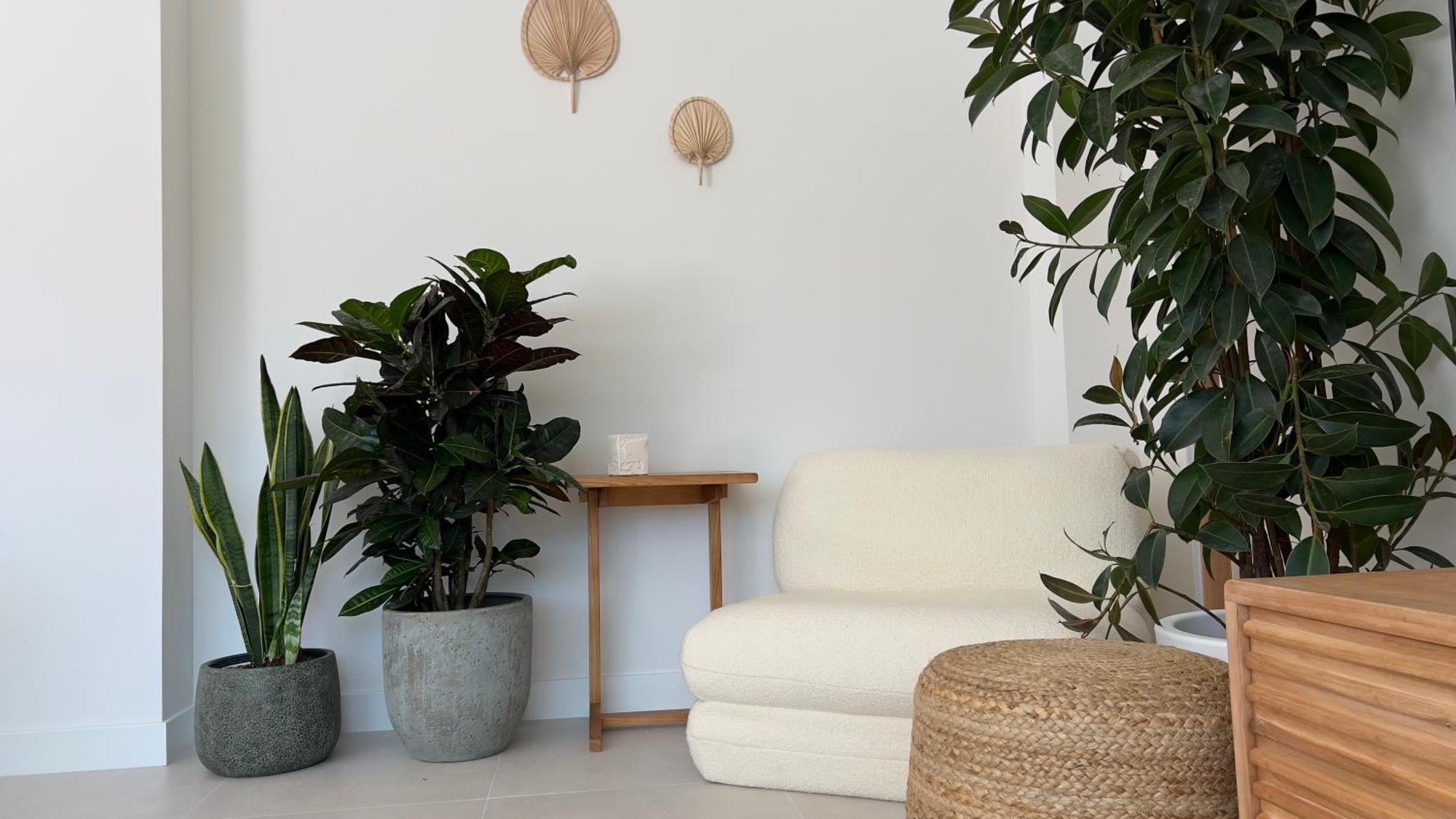 Beautiful 1-bedroom In Apartment Estepona