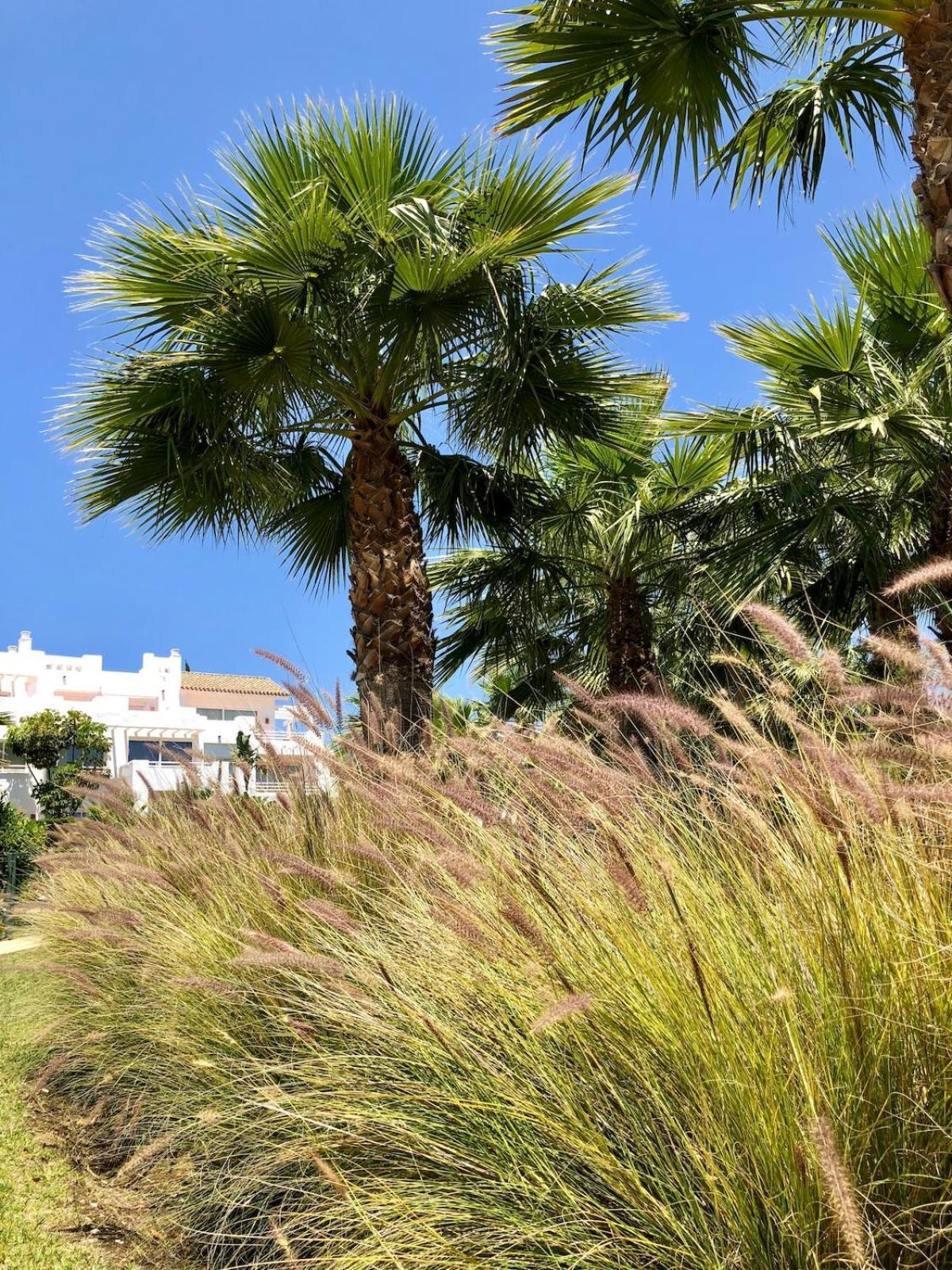 Apartment Alcazaba Lagoon, *