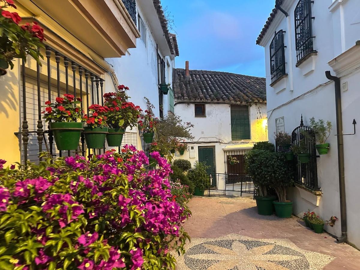 2 Bed Centre Next To The Beach! Apartment