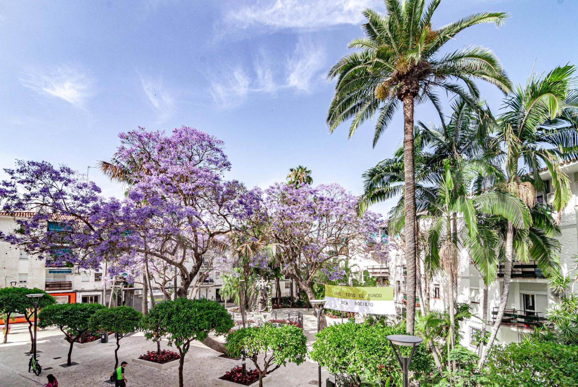 Apartment Terr69- Bright Gem In Charming Old Town Estepona