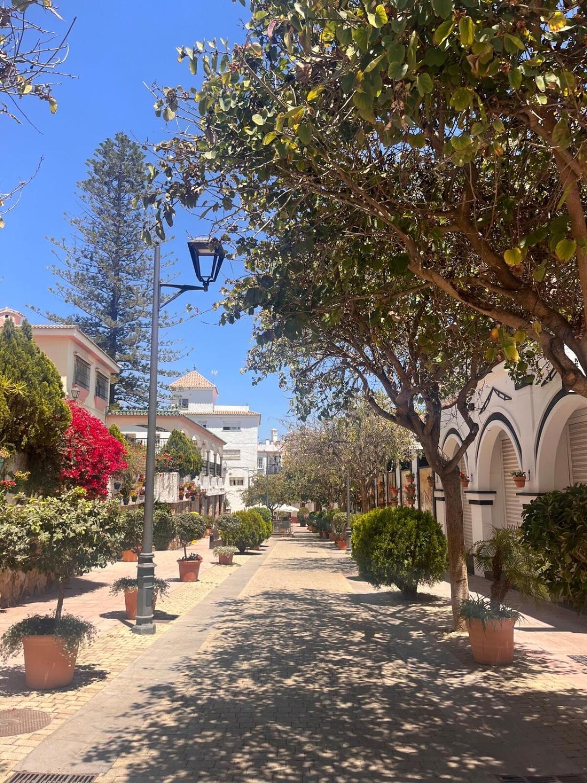 Old Town & Close To The Apartment