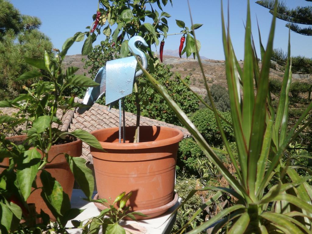 Casa Simba Casa rural *