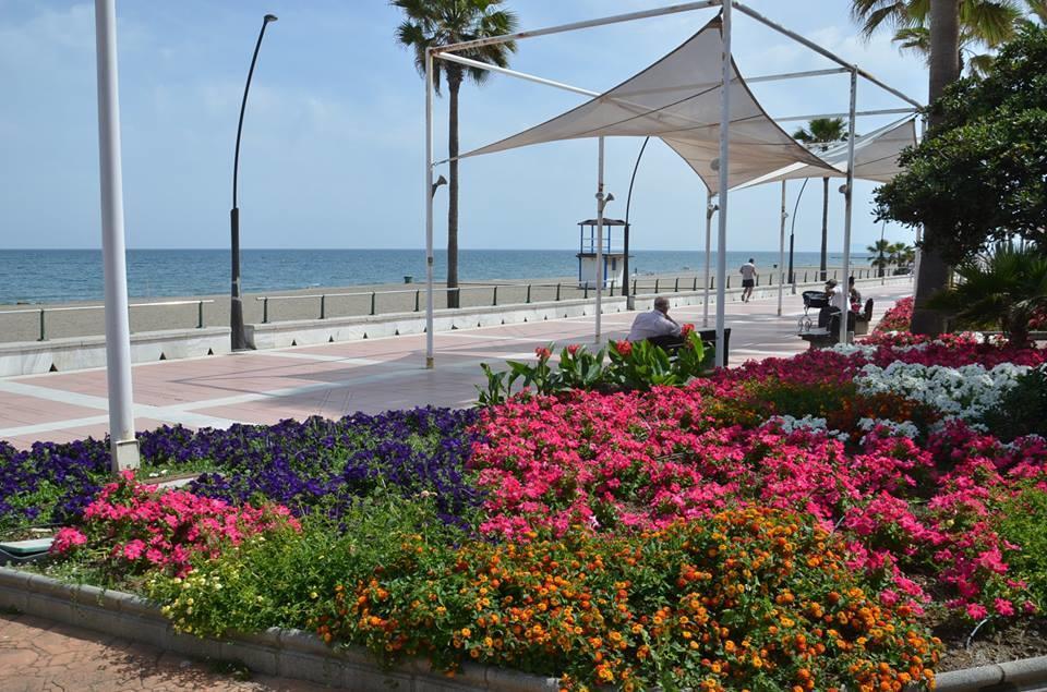 Residencial Torre Bermeja * Estepona