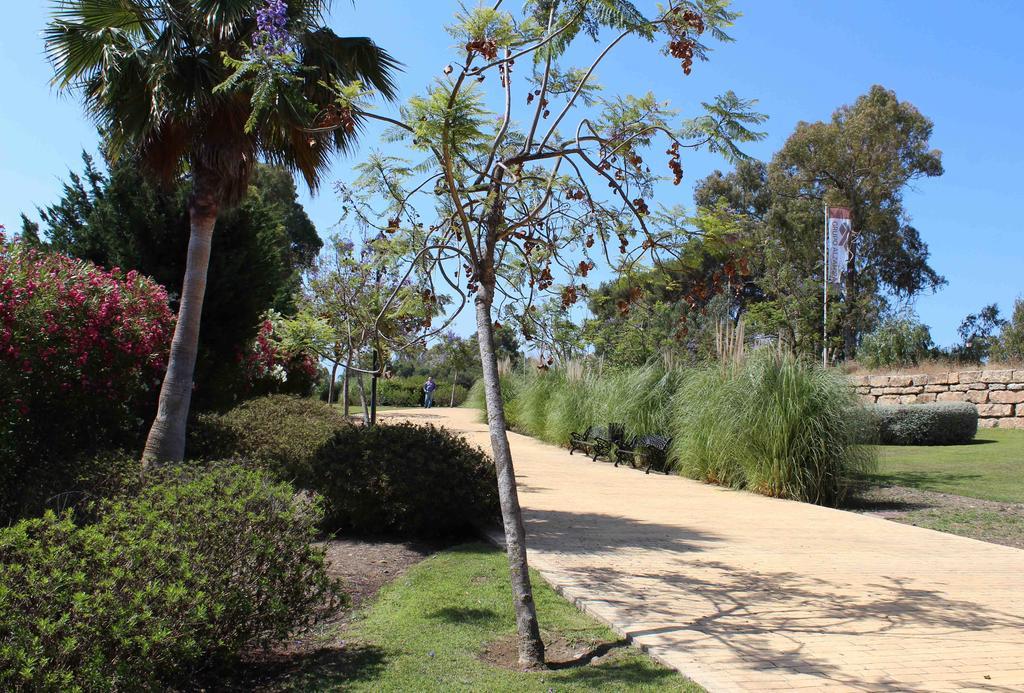 Apartment Benatalaya Estepona