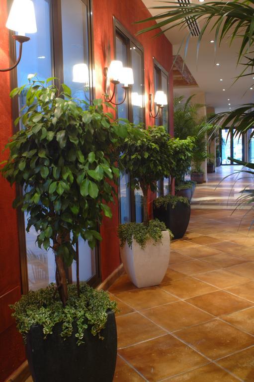 Aparthotel Albayt &