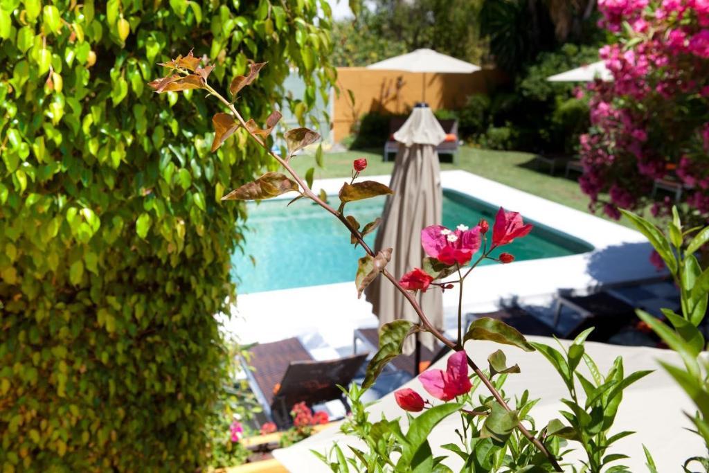 Hotel Family Hotel Al- Ana Marbella 3*