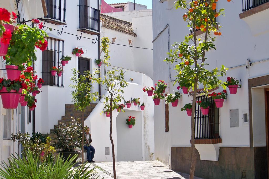 Appartement Miguel Angel Estepona