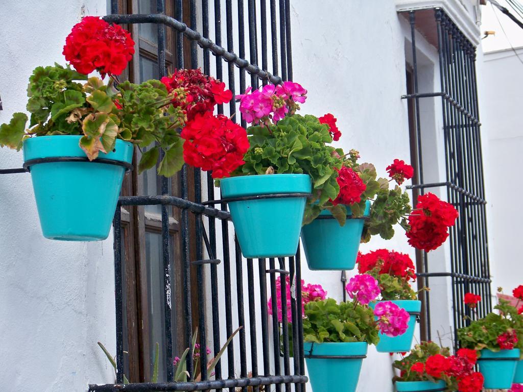 Miguel Angel Estepona