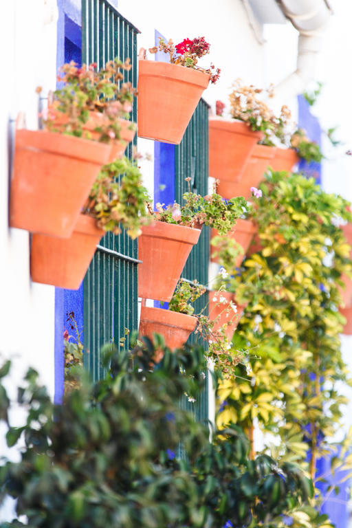Sechi Marbella - Self Service, With Parking
