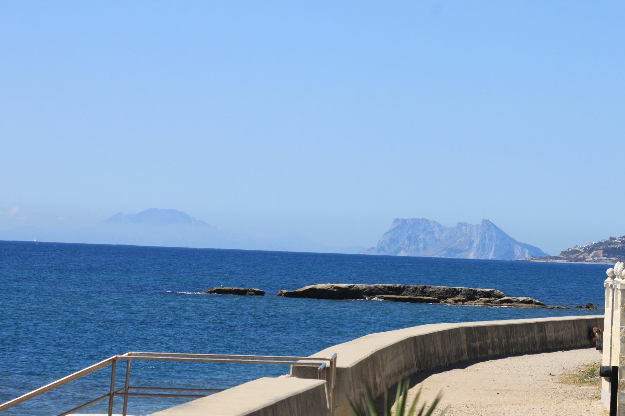 Dorada