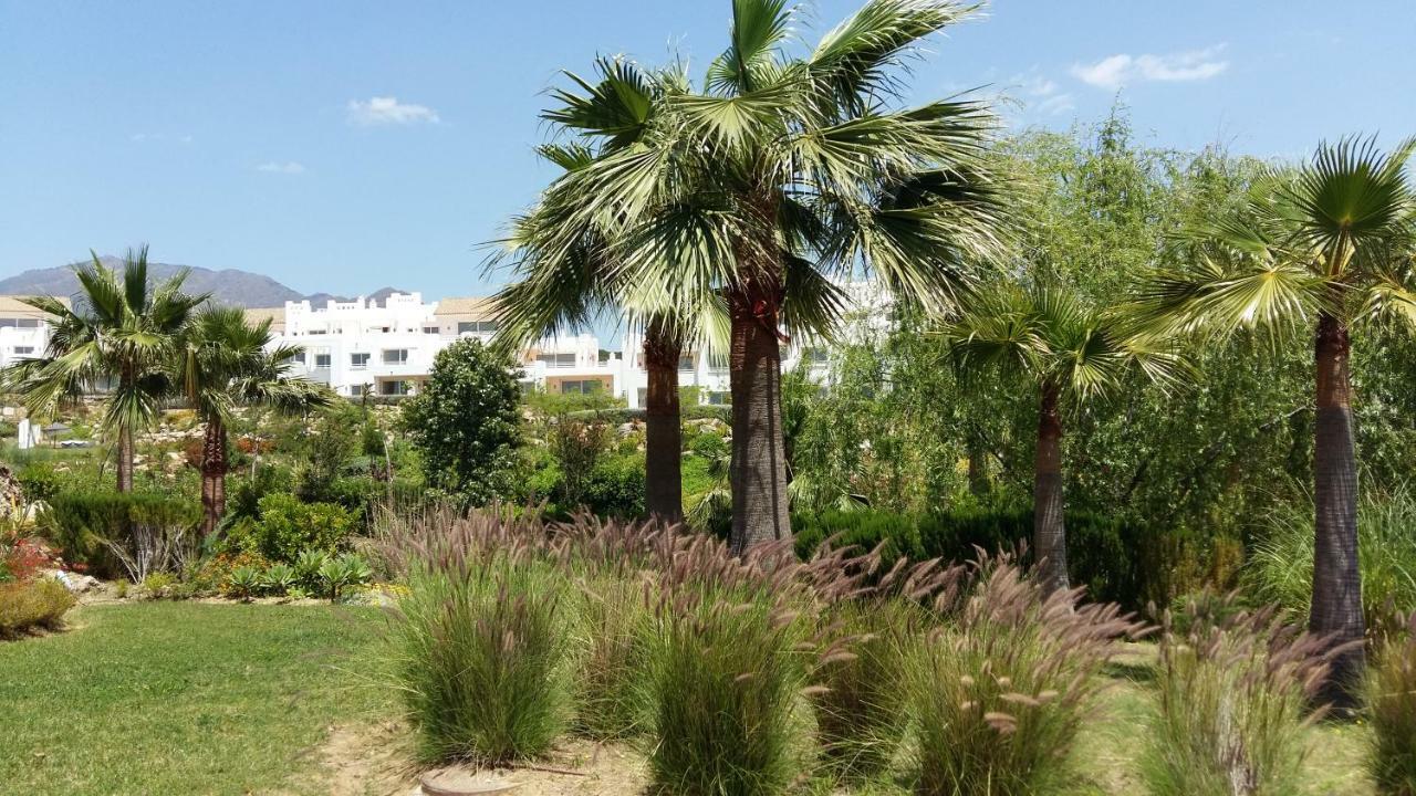 Laguna Apartamento *