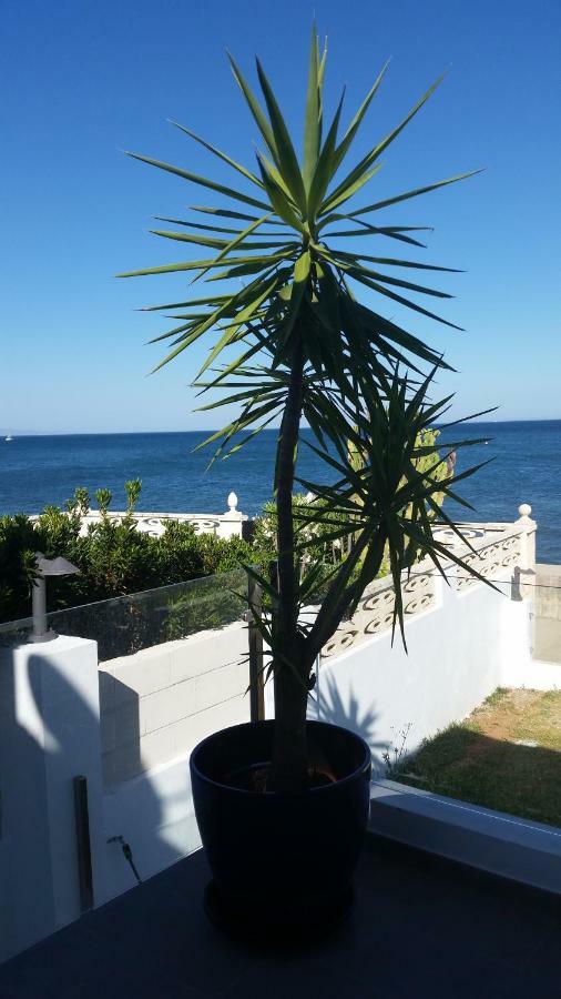 Beach-front Bahia Dorada *