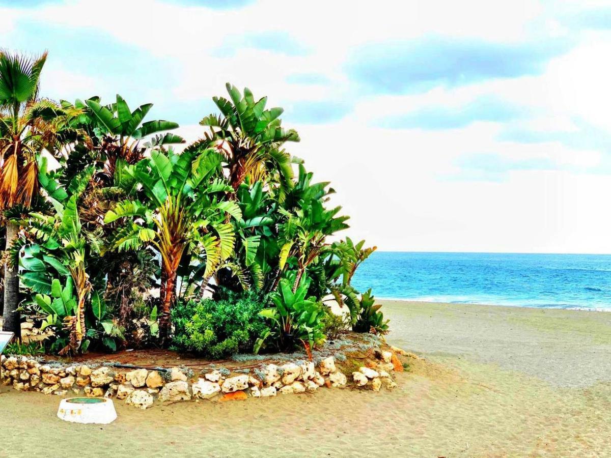 Apartamento Espectacular Piso En Primera Linea De Playa *