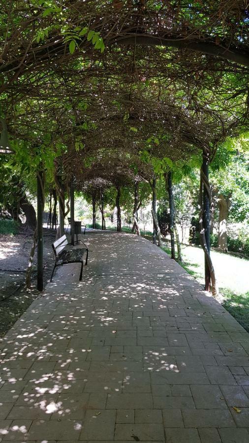 Albaida *