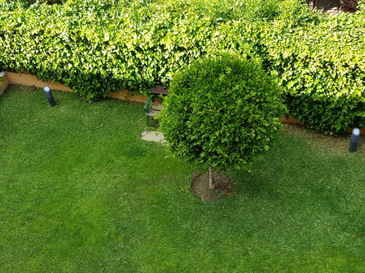 Appartement Albaida