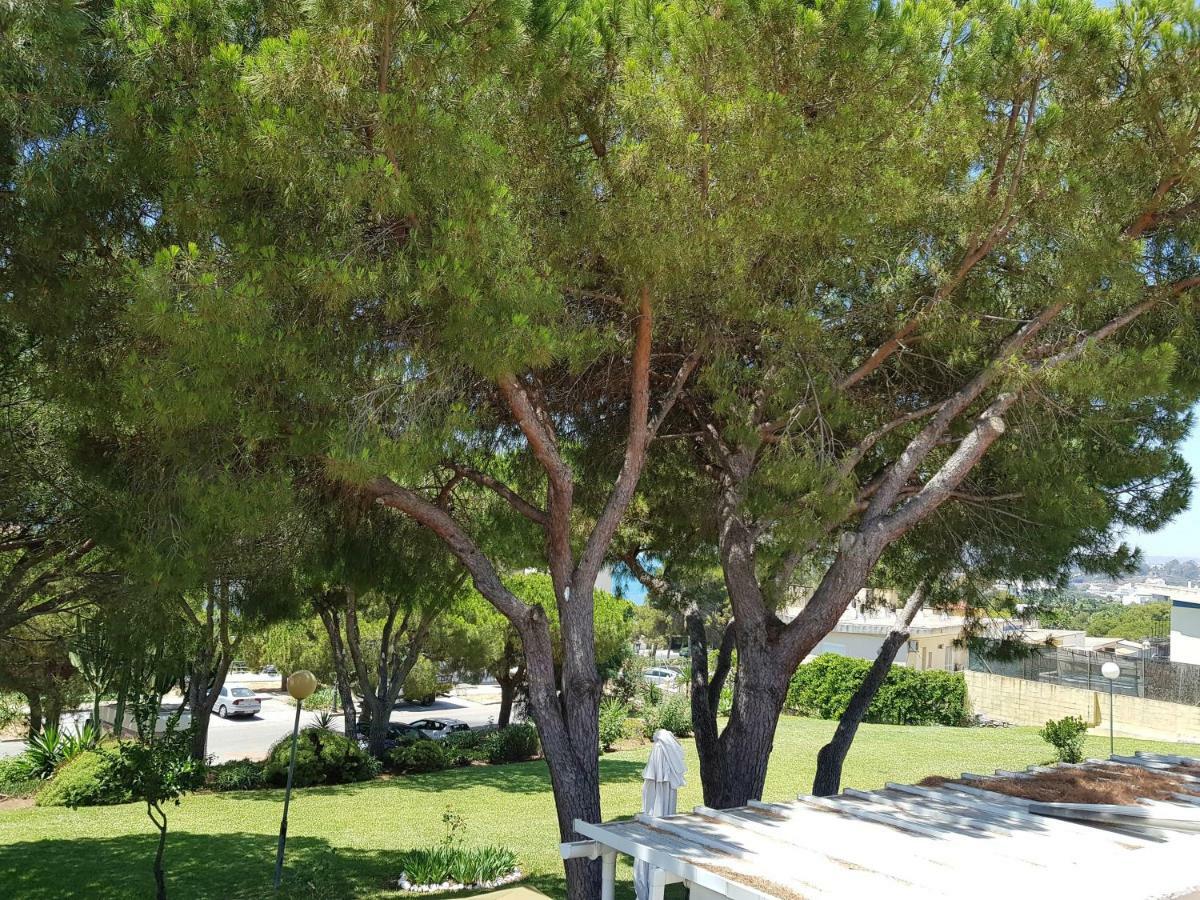 Lugar De La Luz Estepona