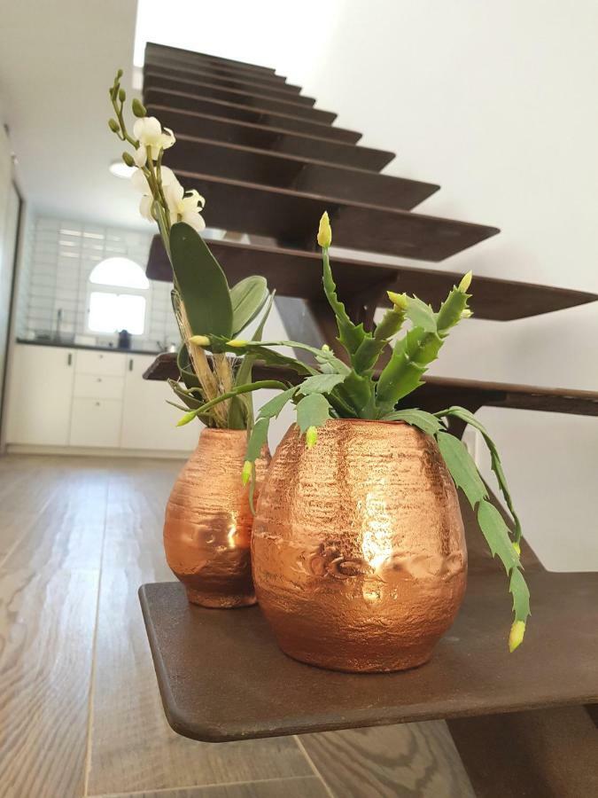 Lugar De La Luz Apartment