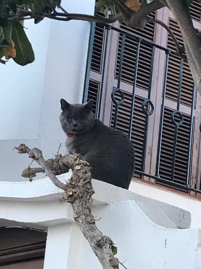 Villacana,malaga.