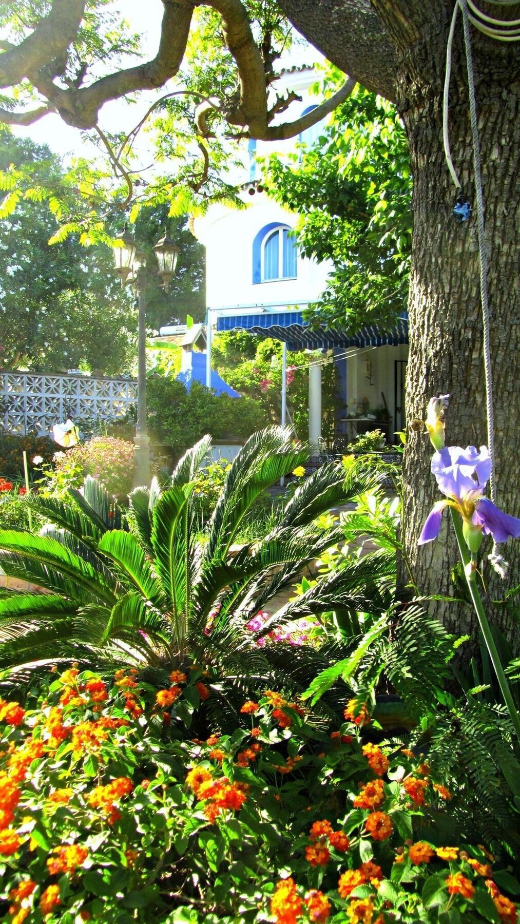 Pousada With 4 In Estepona, Malaga, With Wonderful Sea View, Priva