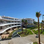 Theedgebythesea Palm Tree