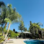 La Pina Verde
