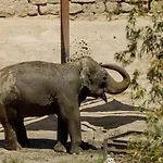 Hotel Selwo Lodge - Animal Park Tickets Included