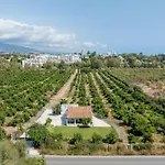 Casa De Los Aguacates Entre Marbella, Estepona Y Benahavis