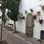 Estepona 1