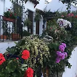 Estepona 3