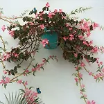Estepona Port Apartment