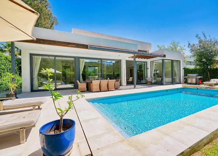 2223 Modern Design Villa Pool
