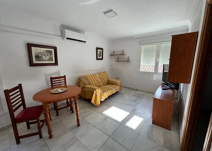 Flores Centro Estepona 1 Dormitorio