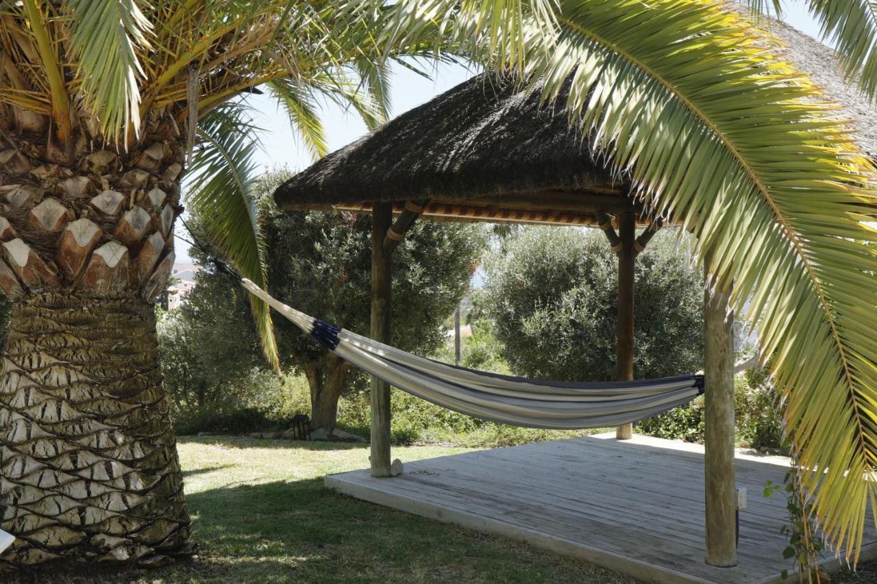 Camachuelo Holiday