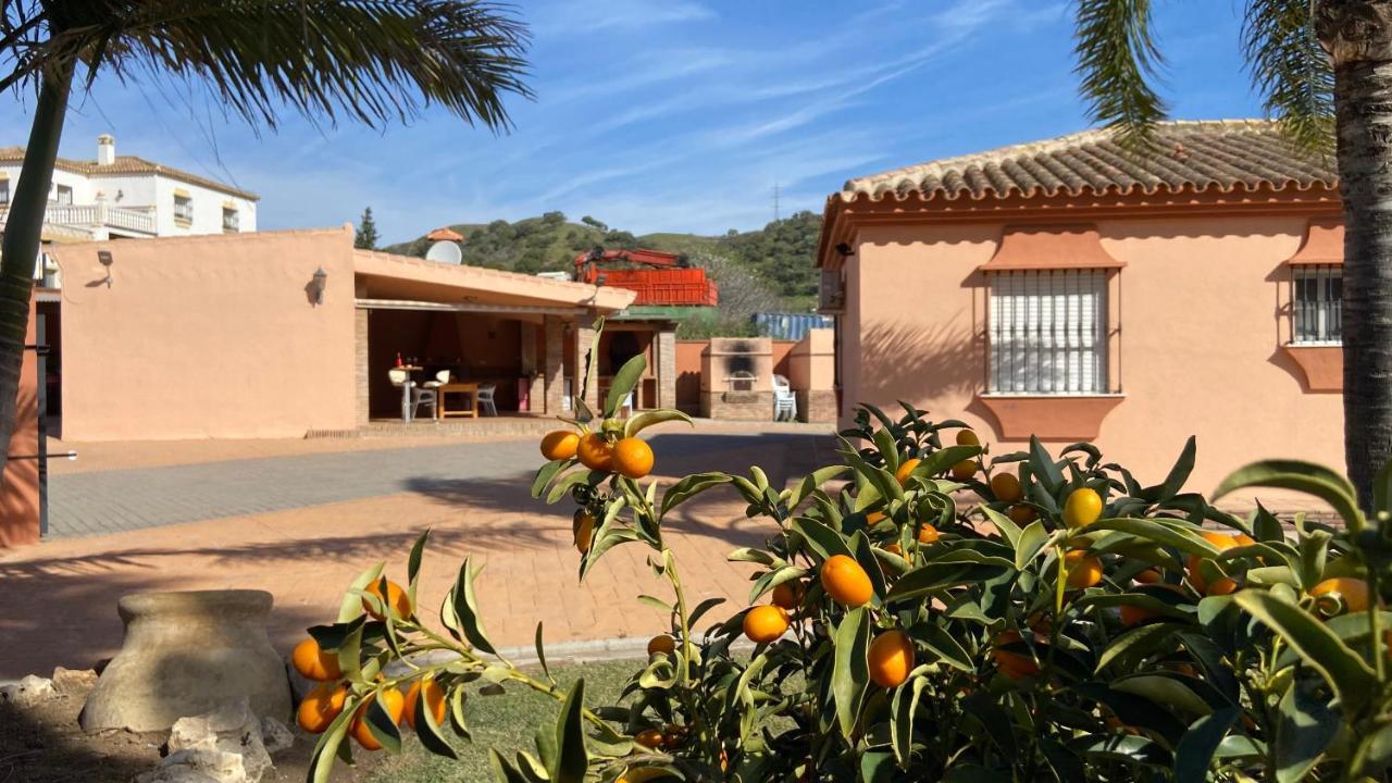 Casa Monterroso Holiday home Estepona