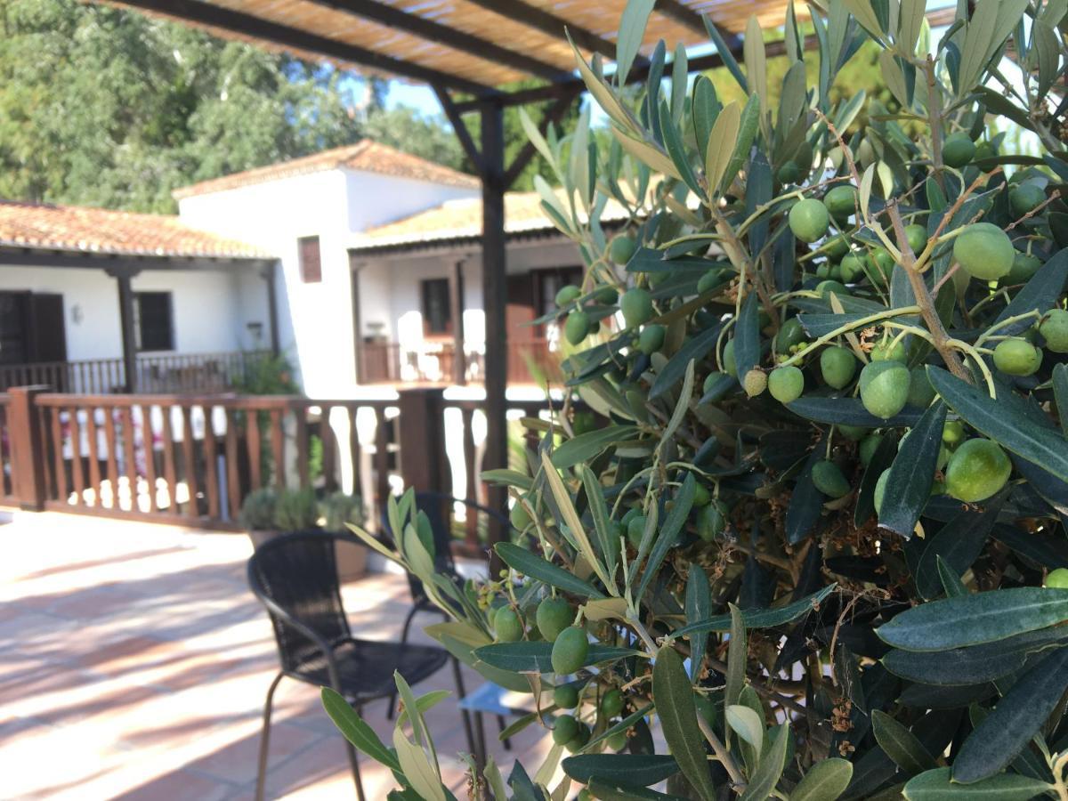 El Molino *