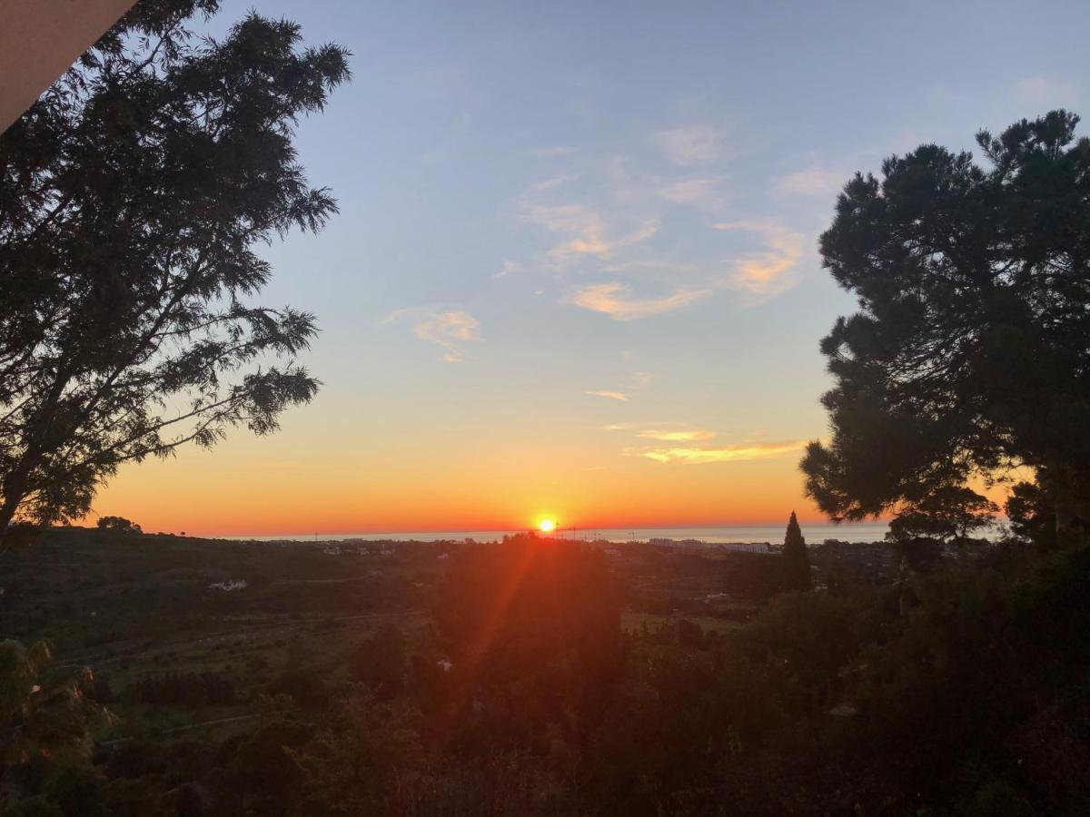 Guest house Casa Simba (adults Only) Estepona