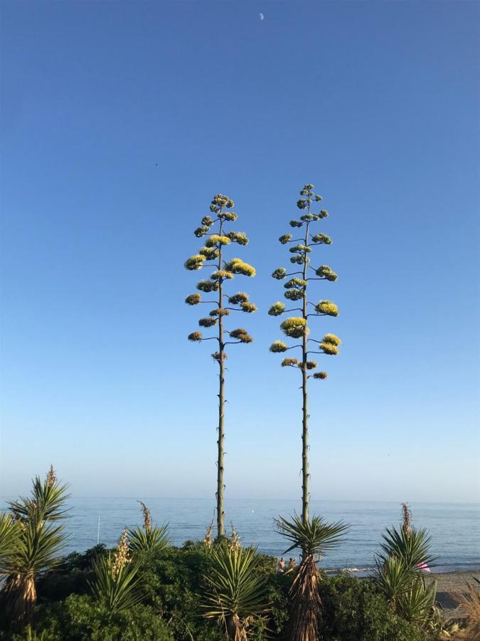 Marbella - Frontline Apartment Estepona